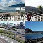 Moving from Wellington to Auckland: A Complete Guide