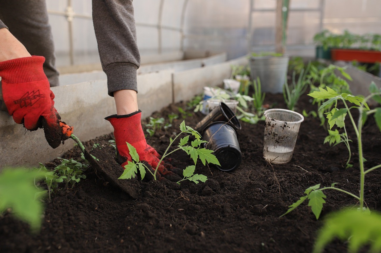 A Complete Guide on Maintenance Practices for Your Greenhouse Polycarbonate Roofing Sheets