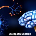 Brainpathjunction