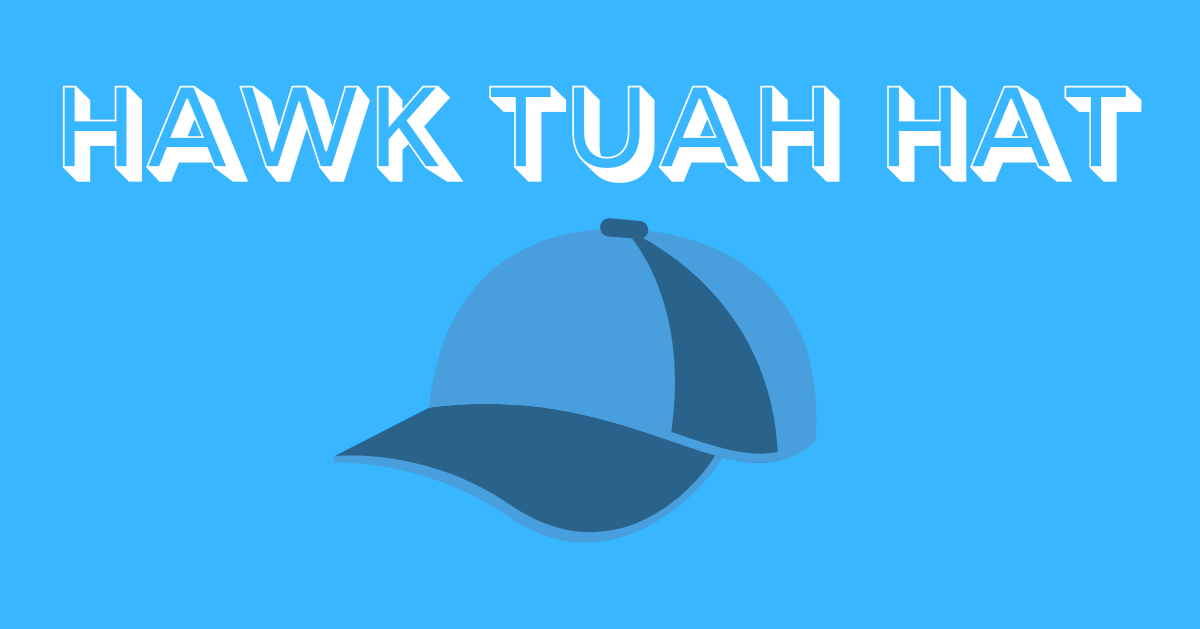 hawk tuah hat