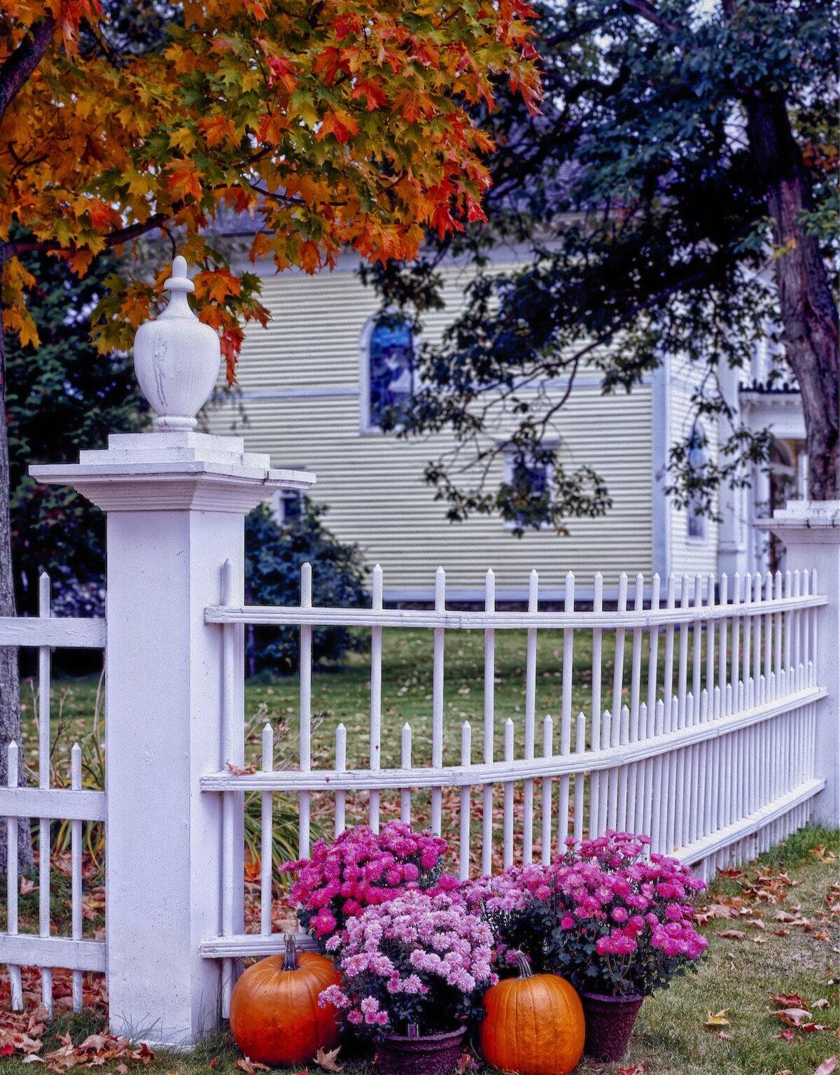 A Comprehensive Comparison of Different Types of Residential Fences