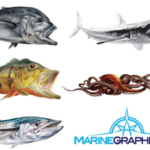 How to Choose the Perfect Boat Fish Stickers for Your Fishing Adventure?